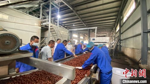 百國華僑華人走進(jìn)云南臨滄 感受創(chuàng)新進(jìn)步 開放包容大美邊疆